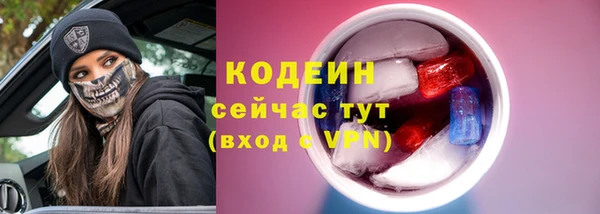 соль ск Богородицк