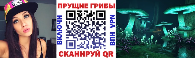 Псилоцибиновые грибы MAGIC MUSHROOMS  Красавино 